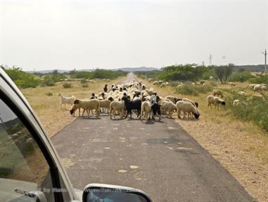 01 PKW-Reise_Jaisalmer-Kuri_DSC3339_b_H600